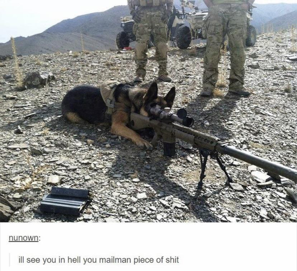 Army doggo