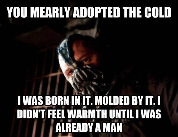 As a Canadian this is how i see everyone else complaining about the cold