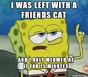 As a dog person left with a friends cat this was my only course of action