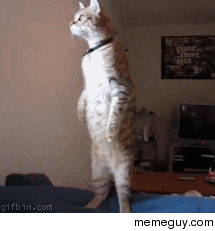 As a pizza delivery driver in the USA MRW I see all the festivities tonight during my closing shift