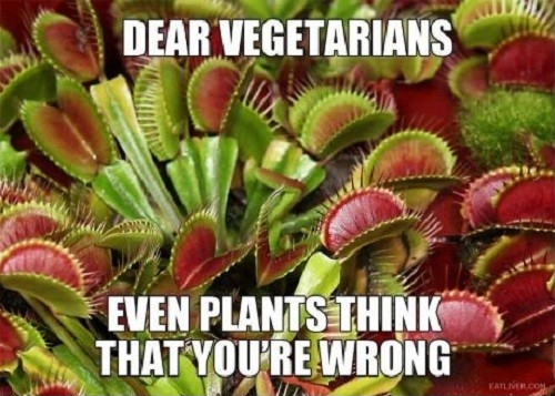 As a vegetarian this made me laugh