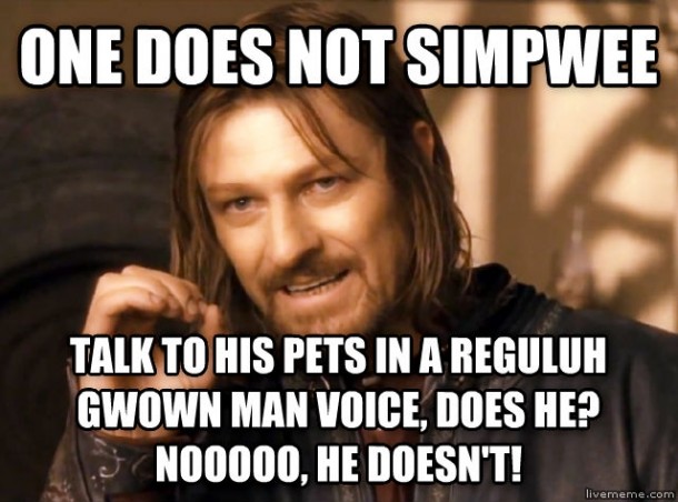 As a  year old man who just got his first puppy 