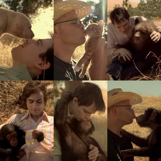 As it turns out covid- originated from Weezers island in the sun music video