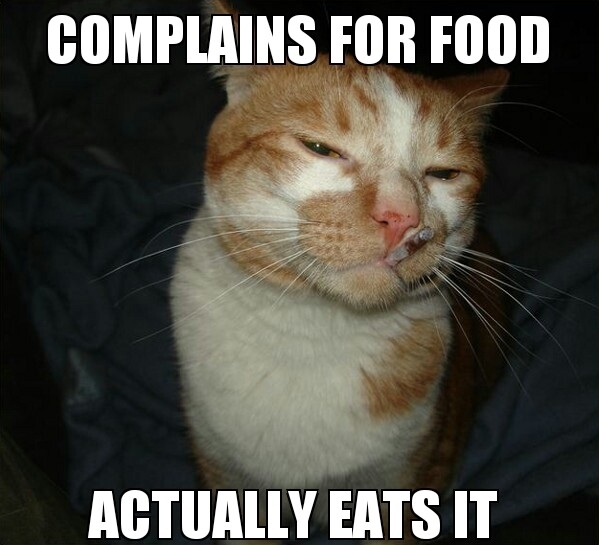 As long as the cats are happy Im happy