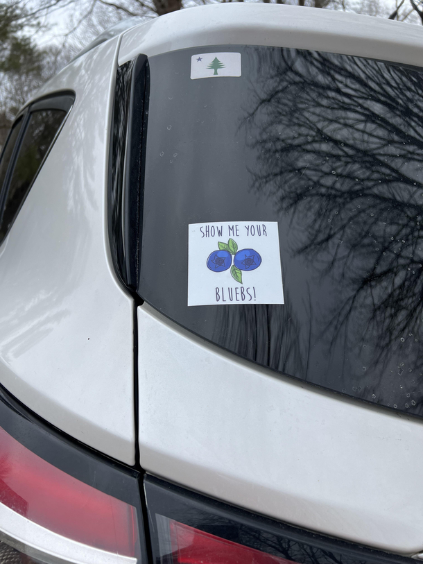 As seen in Maine
