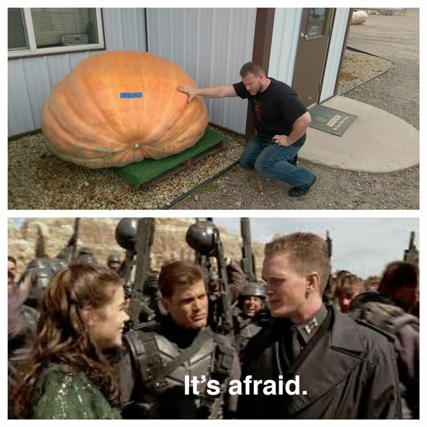 As the end of October nears