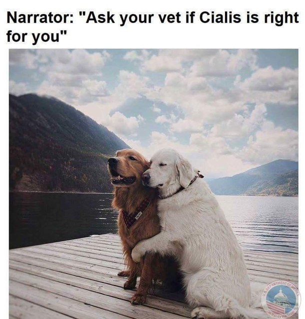 Ask your vet if your heart is healthy enough