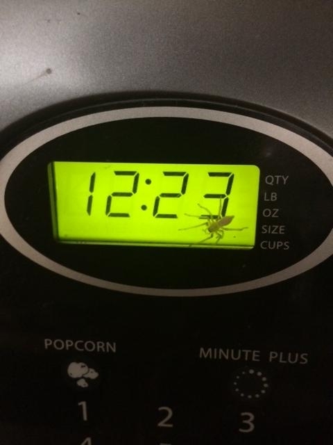 Asked my wife what time it was She checked and told me its time to get a new microwave