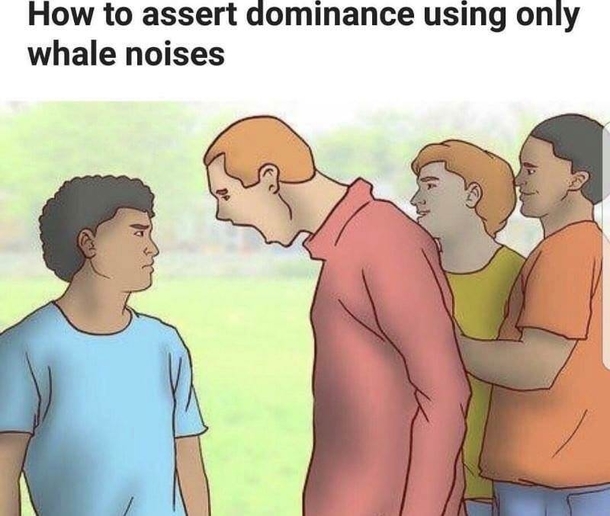 Assert your dominance