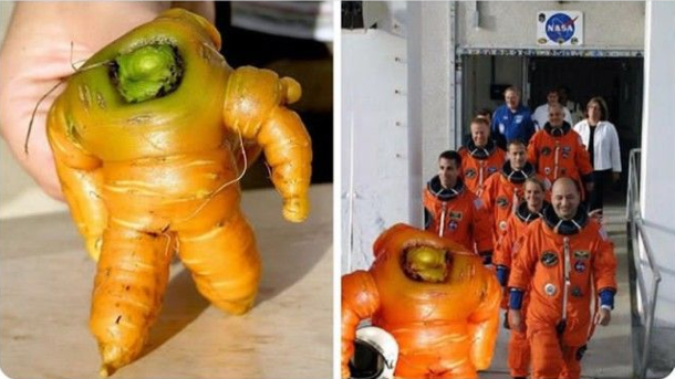 Astronaut carrot