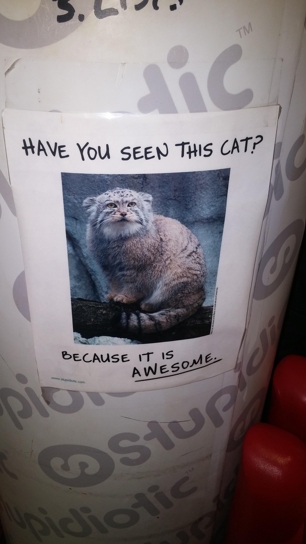 At a shop in Vegas