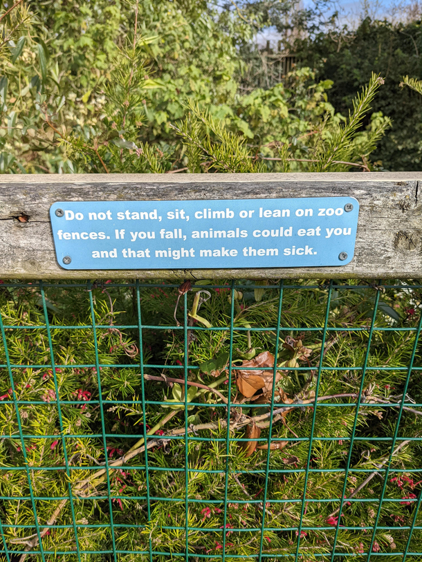 At Dublin Zoo