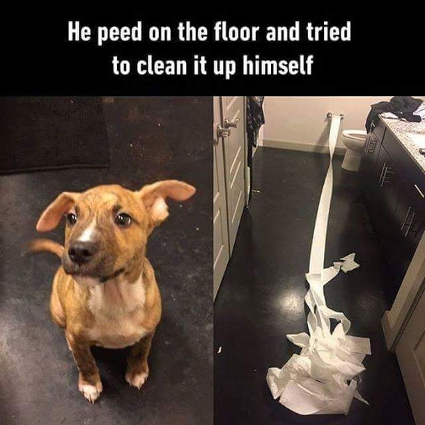 At least he tried
