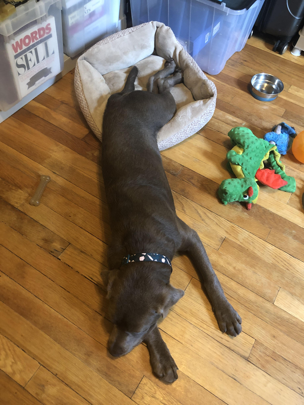 At least her feet fit 
