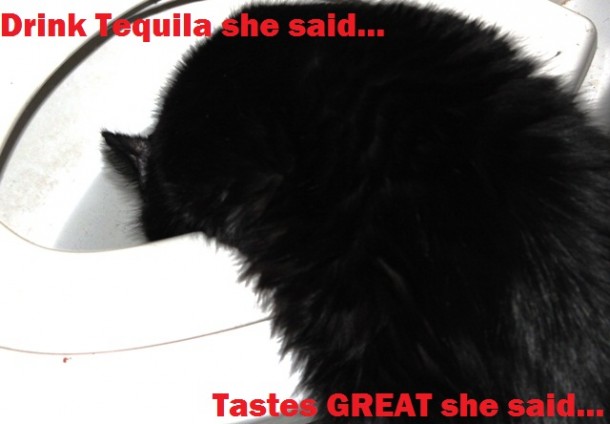 At least it was good tequila