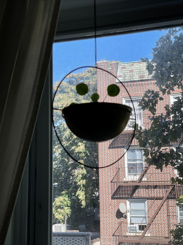 At least someones happy