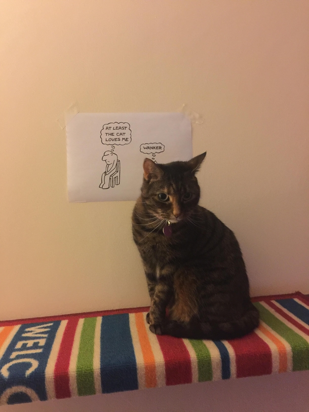 At least the Cat loves me