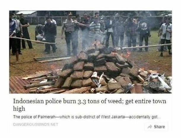 At least they tried