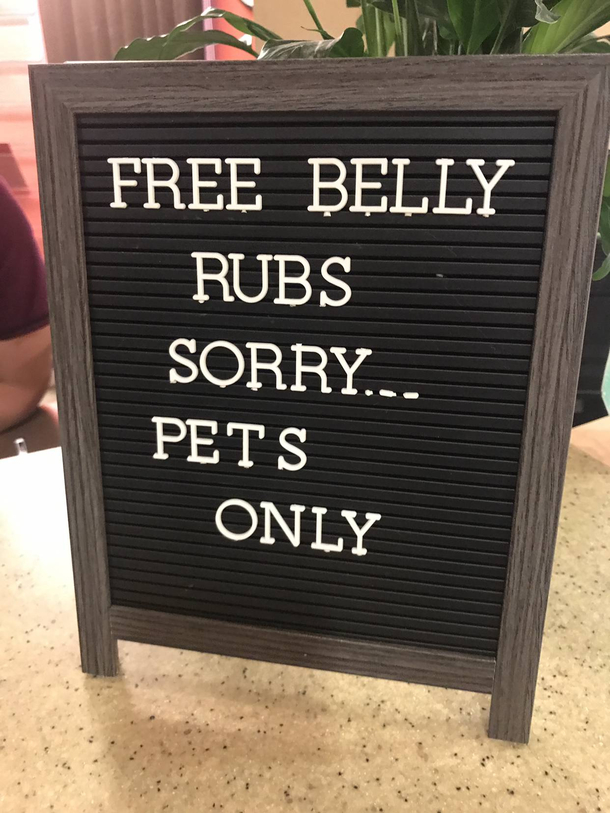 At my local Vets office