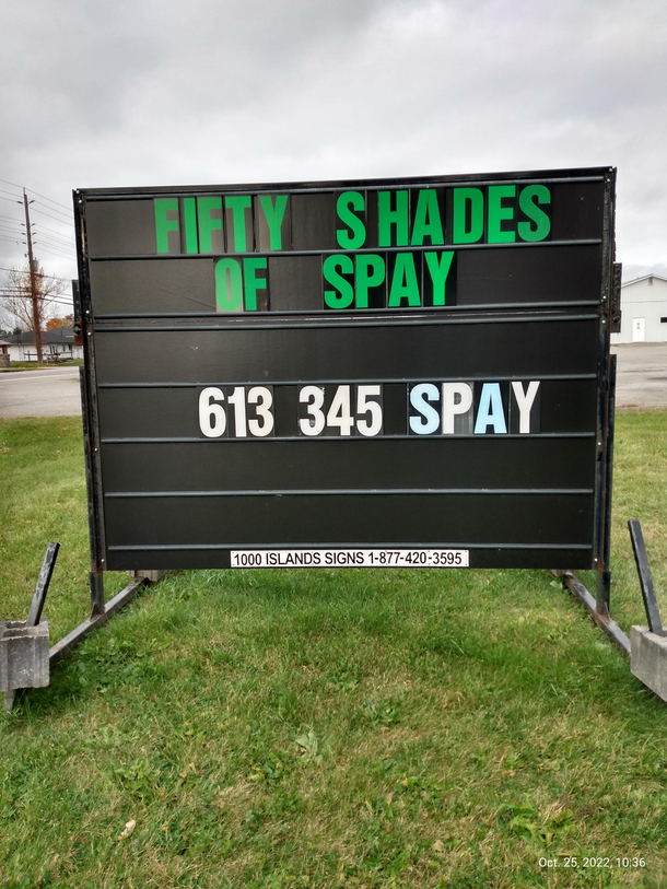 At my spay and neuter clinic