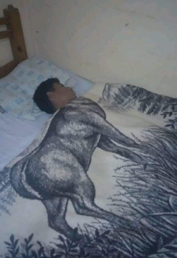 At night the beast sleeps