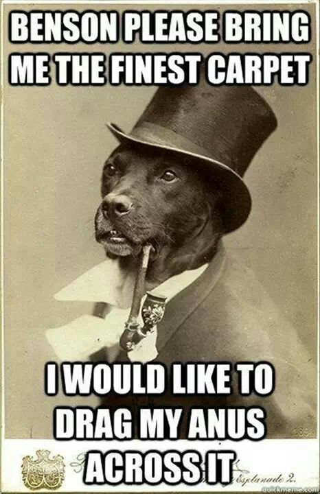 At once Sir Godfrey