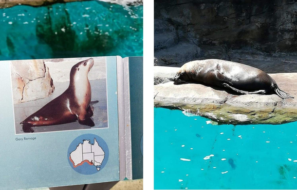 At Taronga Zoo