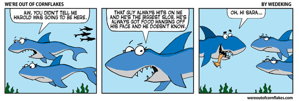 At the shark party