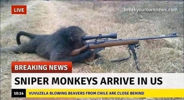 At this point I believe it