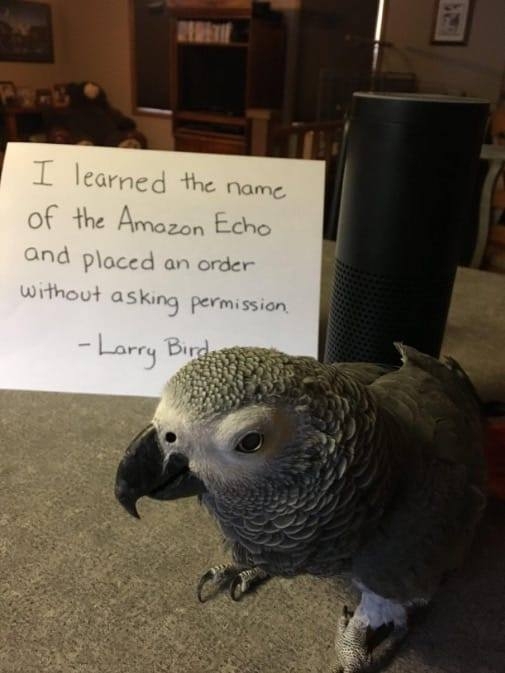 Attaboy Larry