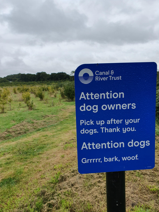 Attention dog owners