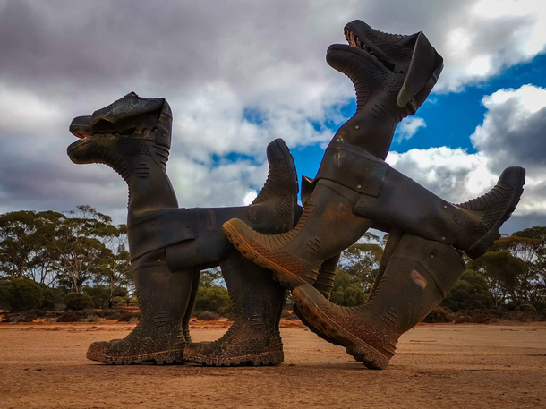 Aussie shoe dogs