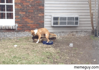 Auto hump derps out
