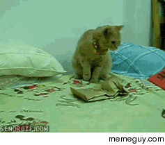 Avenge me