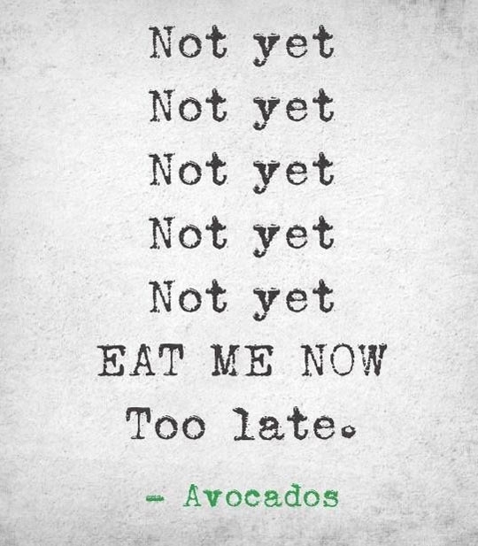 Avocados are dicks