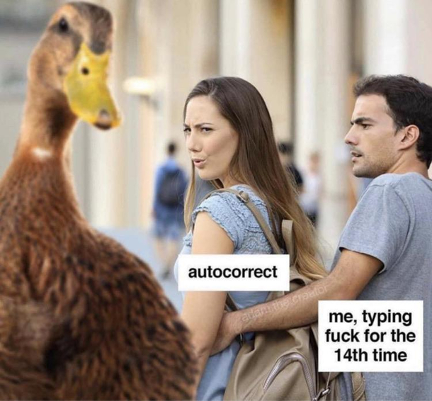 Aw duck