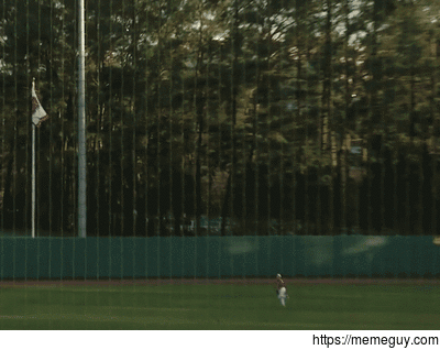 Awesome diving catch