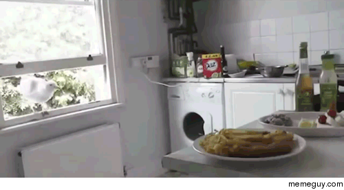 Awkward guest