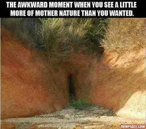 Awkward Moments