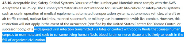 AWS service terms consider all scenarios