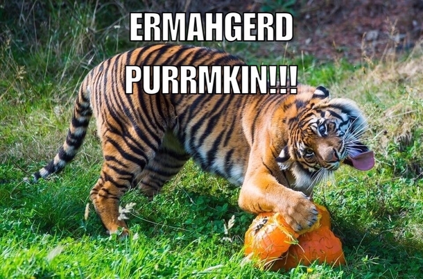 Aww-tumn