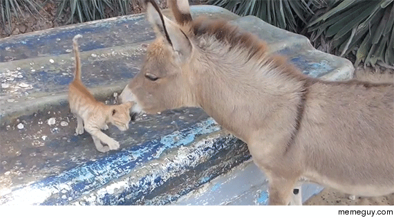 Aww You Are sooo Soft