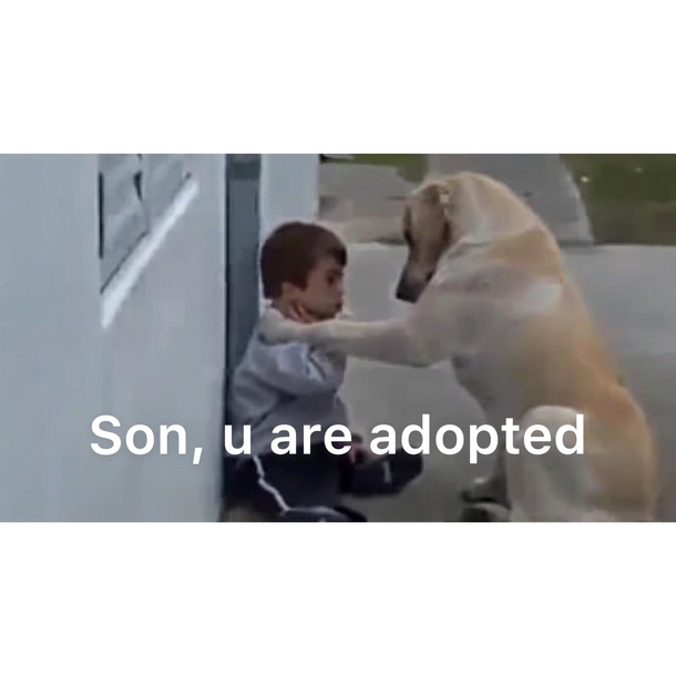 B-but dad how