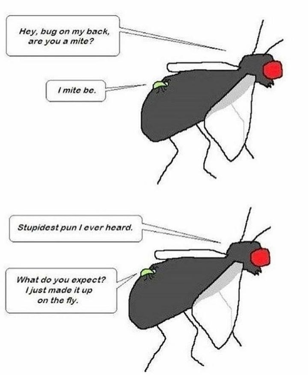Ba dum Pssss