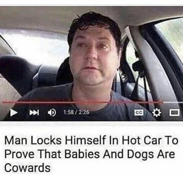 Babies amp dogs  cowards