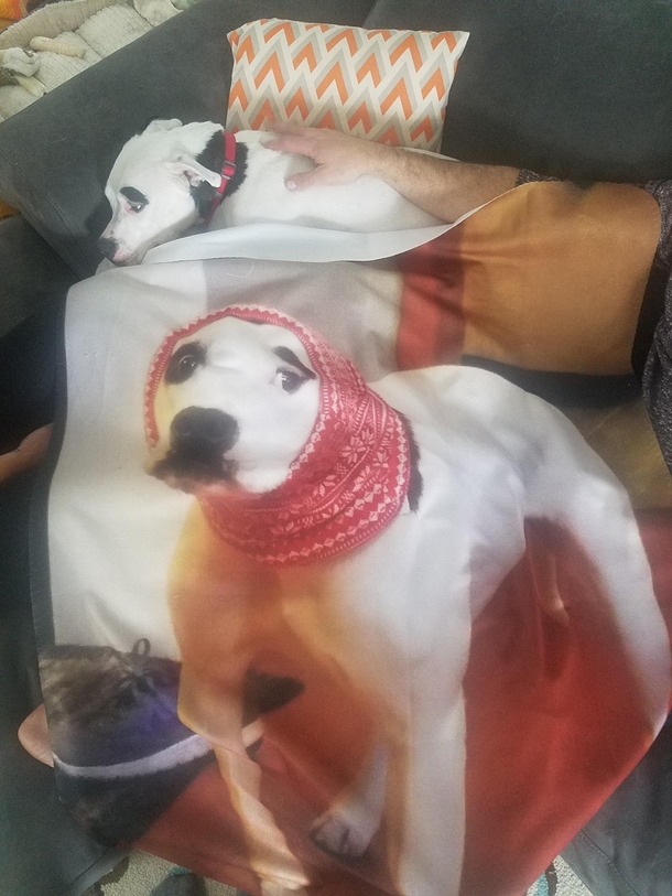 Babushka dog under her babushka blankie