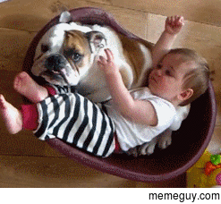 Baby and Bulldog