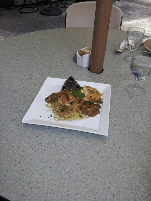 Baby bird landed in one of my customers chicken marsala