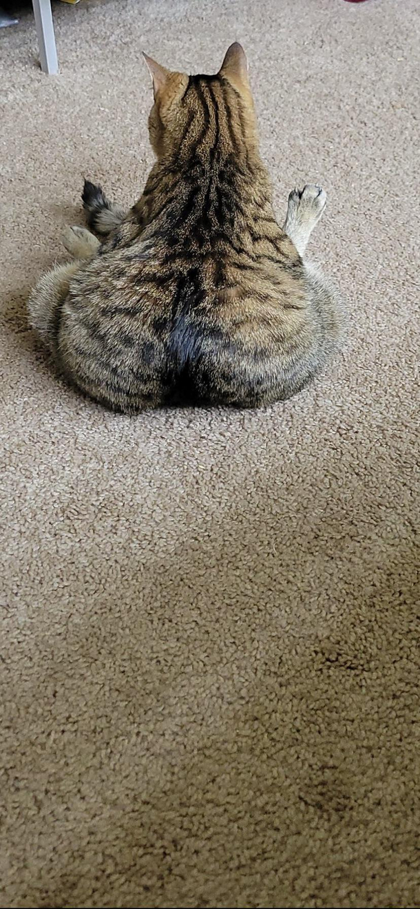 Baby got back