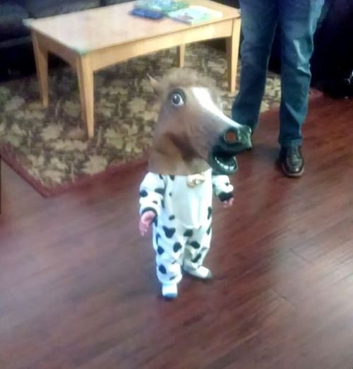 Baby Horse